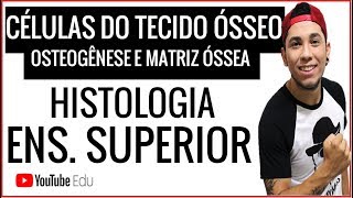 Células do Tecido Ósseo Osteogênese e Matriz Óssea  AULA ENSINO SUPERIOR  Prof Patrick Gomes [upl. by Itnuahsa]