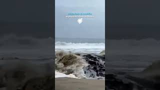 Avistamiento de cocodrilos en playas de la Costa de Oaxaca 🐊 [upl. by Akciret]