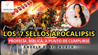 🔥 LOS 7 SELLOS EXPLICACIÓN BÍBLICA  Andely Suri arrebatamiento apocalipsis [upl. by Kassie2]