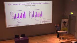 Exploring cytokine response to renal tubular epithelial cell stress [upl. by Aynodal]