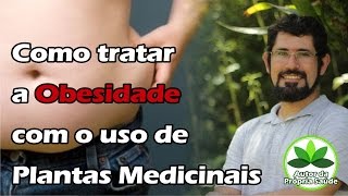 Como tratar a Obesidade com o uso de Plantas Medicinais [upl. by Einwahs]