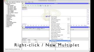 CcpNmr AnalysisAssign V3  Creating a Noesy Peak List From Multiplets [upl. by Anilet]