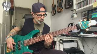 La Vita Comè  MAX GAZZE Bass Cover quotPersonal Basslinequot [upl. by Eenaej]