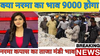 क्या नरमा का भाव बढ़ेगा 2023 में  आज का नरमा भाव  kapas bhav today  narma ka bhav today  cotton [upl. by Jea]