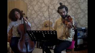 J Haydn Duet for Violin and Cello in D major HobVI D1 [upl. by Nerac]