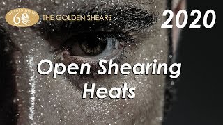 Open Shearing Heats  2020 Golden Shears 60th Anniversary [upl. by Linker]