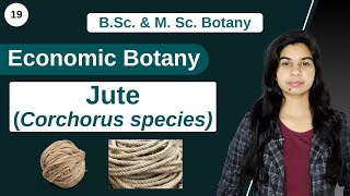 Economic Botany  Jute Corchorus species  B Sc amp M Sc [upl. by Bellamy]