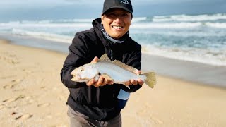 MULLOWAY FISHING SOUTH AUSTRALIA  42 MILE CROSSING  COORONG OCEAN BEACH CAMPING  SILVERGHOST HUNT [upl. by Cobbie988]