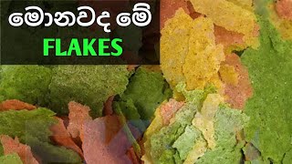 What are fish food FLAKES  Facts about Aquarium Fish FLAKES [upl. by Cesya]