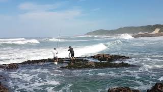 Drop Shot Fishing Eastern Cape [upl. by Shirk]