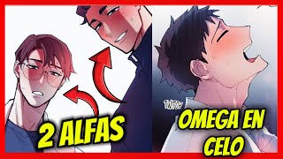 🔴 Paso de ser BETA a OMEGA y TIENE 2 ALFAS  Manhwa BL resumen parte1 manhwarecap manhwaresumen [upl. by Demp]