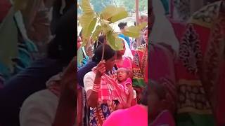 Kandhamal Village Dance27 dance dancedance song dancemusic kandhamalsong [upl. by Iseabal]