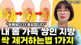 quot먹을 거 다 드셔도 됩니다quot 굶지 않고 내장 지방 빨리 빼는 법 l작가 류은경통합 [upl. by Aseret]