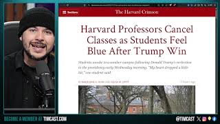 Woke Universities CANCEL Class As Liberals SUFFERING Over Trump Win Unhinged Women SCREAM Over Loss [upl. by Bonny]