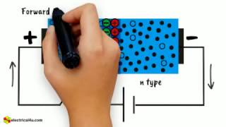 Working Principle of Diode [upl. by Akihsay]