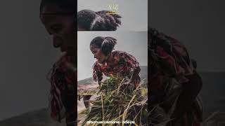 Amanuel Yemane  Adilatni  አማኑኤል የማን  ዓዲላትኒ  New Ethiopian Music 2021 [upl. by Azrim216]