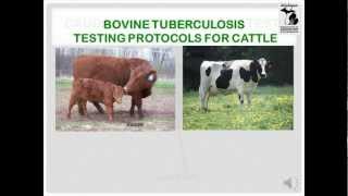 Bovine TB Testing Protocols for Cattle  MDARD [upl. by Airakaz]