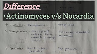 Difference  Nocardia vs Actinomyces [upl. by Ettinger]