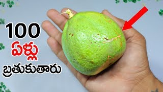 Beal fruit benefits i telugu  Bael Fruit Benefits [upl. by Rokach]