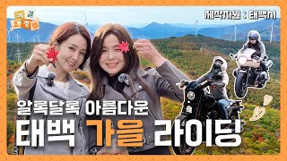 할리 × BMW  태백 단풍여행 다녀왔어요🍁  물닭갈비🐔  Autume Korea [upl. by Elnore]