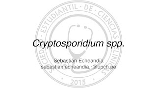 Cryptosporidium spp [upl. by Bej]