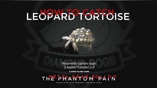 MGSV TPP  How To Catch The Leopard Tortoise [upl. by Meill127]