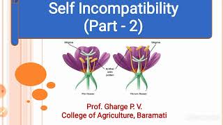 Lecture No 4  Self Incompatibility Part  2 [upl. by Erdei184]