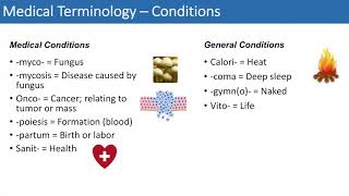 Medical Terminology  The Basics  Lesson 4 [upl. by Silvie]