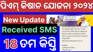 PM Kisan Beneficiary New SMS 18th Installment 2024 [upl. by Eusadnilem]