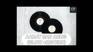 AADAT SLOW  REVERB  SUCHA YAAR [upl. by Adnotal]