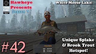 Fishing Planet 42  S7  White Moose Lake  UNIQUE Splake amp Brook Trout Hotspot [upl. by Ripp]