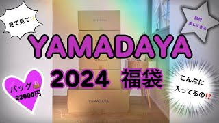 【2024 ヤマダヤ 福袋開封】開封疲れるくらい沢山入ってた‼️あんなものやこんなものまで⁉️ [upl. by Sigler]