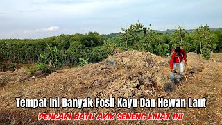 Penemuan Fosil Hewan Umur Jutaan Tahun Di Atas Gunung Puyur Kabuh Jombang [upl. by Milissa]