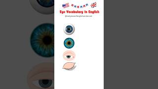 Eye Parts and Functions Learn Eye Vocabulary in English  English Vocabulary for All english [upl. by Eselrahc]