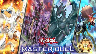 The ULTIMATE DINO COMBOS To STOMP The Meta  Dino Deck Profile  YuGiOh Master Duel [upl. by Akineg]