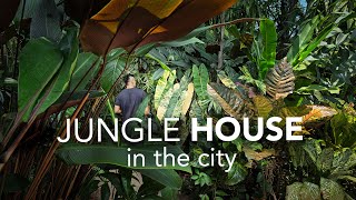 Inside a DIY Jungle Garden amp Artfilled Home  Garden Design Tips ft Journey Through Paradise [upl. by Pagas]