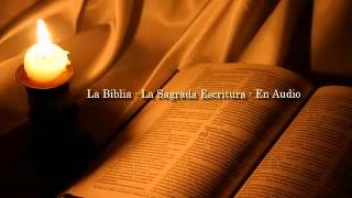 La Biblia Católica en audio 09 Evangelio según San Mateo Capítulo 24 y 25 [upl. by Yartnod547]