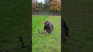 November 24 2024 Metal detecting [upl. by Mandelbaum283]