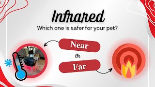 Unveiling the Health amp Safety Benefits Near vs FarInfrared for Your Pets [upl. by Kecaj509]