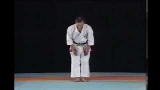 Kata Niseishi  Wado Ryu karatevietnam com [upl. by Eninej]