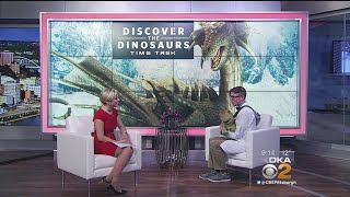 Discover The Dinosaurs Opens At David L Lawrence Convention Center [upl. by Vincenz]