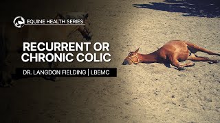 Recurrent or Chronic Colic in Horses [upl. by Yemac]