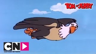 Egg and Tom amp Jerry  Tom amp Jerry  Cartoon Network [upl. by Egan]