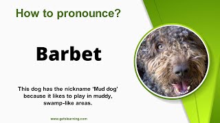 How to pronounce Barbet Correctly in English [upl. by Burns62]