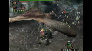 Monster Hunter 3 Chacha Killing Rathalos [upl. by Dnalram421]