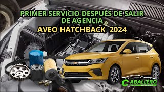 Primer Servicio de Aveo 2024 [upl. by Ellevehc]