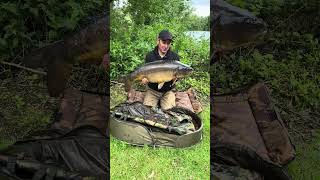 Horseshoe Lake carp [upl. by Eyak]