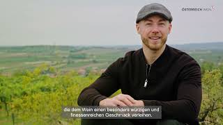 DAS WEINBAUGEBIET WEINVIERTEL  Gebietsvideo [upl. by Dlorah833]