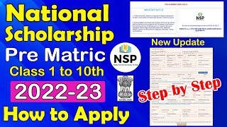 National Scholarship 202223 Pre Matric Scheme Apply Step by Step 🔥 ICT Academy NSP [upl. by Horner]