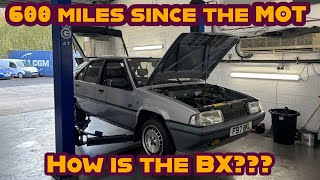 How is my 1988 Citroen BX 600 miles after its MOT and recommissioning Classic car life [upl. by Ahtekahs]